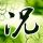 定制新版波尔多第四大学学位证【degxx.com】
